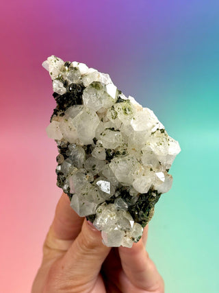 FAIRY FORREST EPIDOTE W. QUARTZ (6) Cluster The Crystal Avenues 