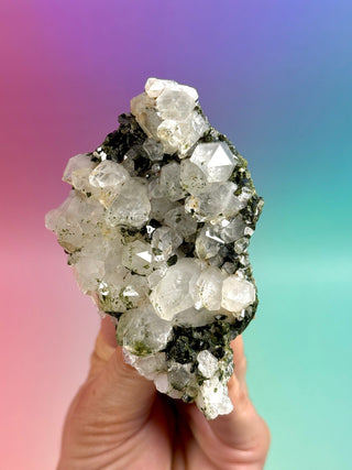 FAIRY FORREST EPIDOTE W. QUARTZ (6) Cluster The Crystal Avenues 