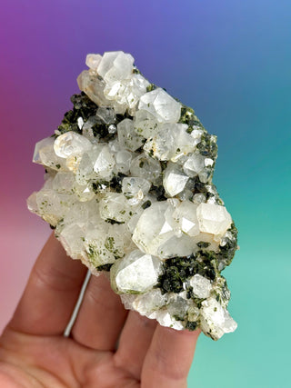 FAIRY FORREST EPIDOTE W. QUARTZ (6) Cluster The Crystal Avenues 