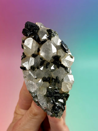 FAIRY FORREST EPIDOTE W. QUARTZ (9) Cluster The Crystal Avenues 