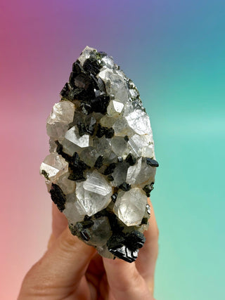 FAIRY FORREST EPIDOTE W. QUARTZ (9) Cluster The Crystal Avenues 