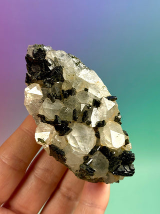 FAIRY FORREST EPIDOTE W. QUARTZ (9) Cluster The Crystal Avenues 
