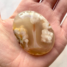 Load image into Gallery viewer, FLOWER AGATE PALM STONE (11) Bracelet The Crystal Avenues 
