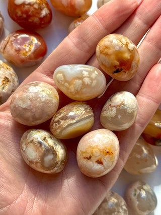 FLOWER AGATE TUMBLE STONE The Crystal Avenues 
