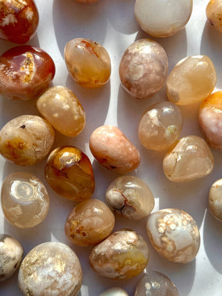 FLOWER AGATE TUMBLE STONE The Crystal Avenues 