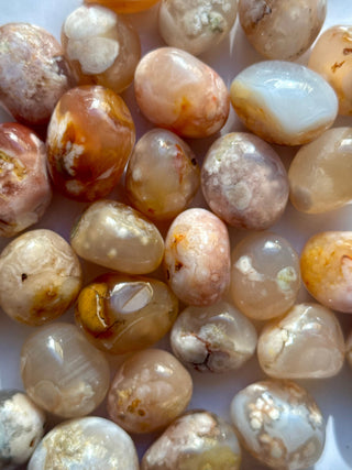 FLOWER AGATE TUMBLE STONE The Crystal Avenues 