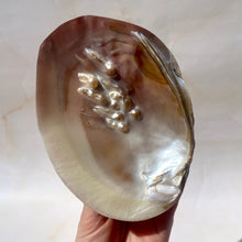 Load image into Gallery viewer, FRESHWATER PEARL SHELL (14) Smudge bowl The Crystal Avenues 
