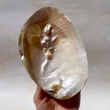 Load image into Gallery viewer, FRESHWATER PEARL SHELL (2) Smudge bowl The Crystal Avenues 
