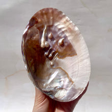 Load image into Gallery viewer, FRESHWATER PEARL SHELL (4) Smudge bowl The Crystal Avenues 
