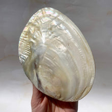 Load image into Gallery viewer, FRESHWATER PEARL SHELL (6) Smudge bowl The Crystal Avenues 
