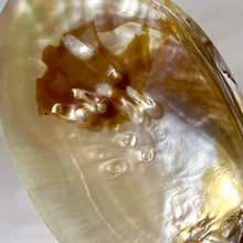 Load image into Gallery viewer, FRESHWATER PEARL SHELL (6) Smudge bowl The Crystal Avenues 
