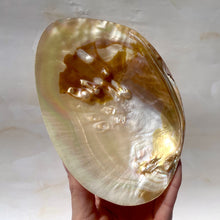 Indlæs billede til gallerivisning FRESHWATER PEARL SHELL (6) Smudge bowl The Crystal Avenues 
