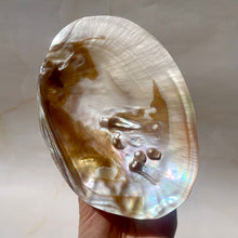 Indlæs billede til gallerivisning FRESHWATER PEARL SHELL (7) Smudge bowl The Crystal Avenues 
