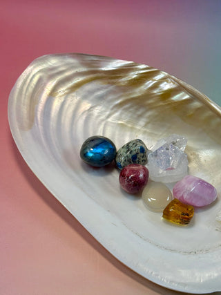 FRESHWATER SHELL (1) Smudge bowl The Crystal Avenues 