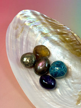 FRESHWATER SHELL (2) Smudge bowl The Crystal Avenues 