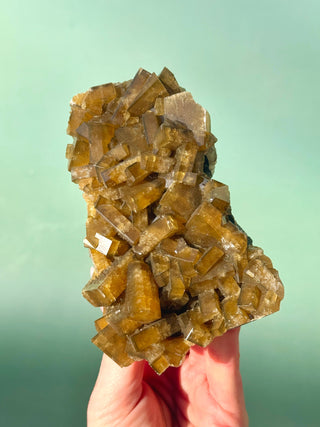 GOLDEN BARITE CLUSTER (1) Cluster The Crystal Avenues 