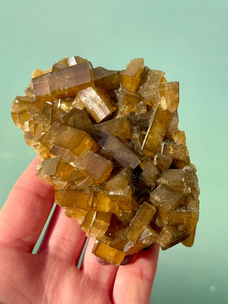 GOLDEN BARITE CLUSTER (4) Cluster The Crystal Avenues 