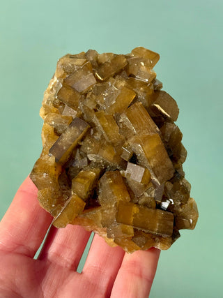 GOLDEN BARITE CLUSTER (4) Cluster The Crystal Avenues 