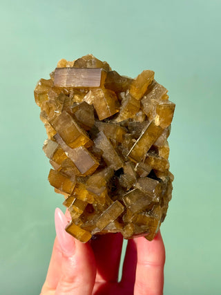 GOLDEN BARITE CLUSTER (4) Cluster The Crystal Avenues 