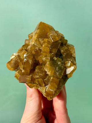 GOLDEN BARITE CLUSTER (5) Cluster The Crystal Avenues 