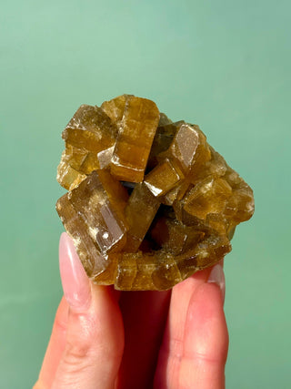 GOLDEN BARITE CLUSTER (6) Cluster The Crystal Avenues 