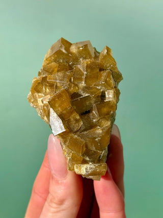 GOLDEN BARITE CLUSTER (7) Cluster The Crystal Avenues 