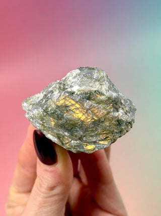 GOLDEN LABRADORITE RAW (1) Raw Crystal The Crystal Avenues 