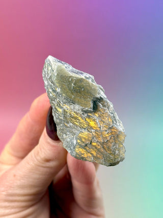 GOLDEN LABRADORITE RAW (3) Raw Crystal The Crystal Avenues 