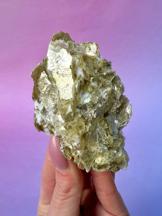 GOLDEN MICA (6) The Crystal Avenues 
