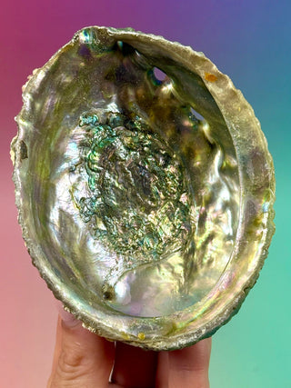 GREEN ABALONE (1) Smudge bowl The Crystal Avenues 