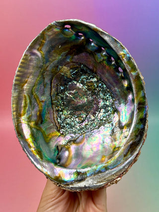 GREEN ABALONE - LARGE (A) Smudge bowl The Crystal Avenues 