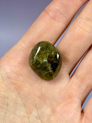GREEN GARNET (7) Tumble Stone The Crystal Avenues 