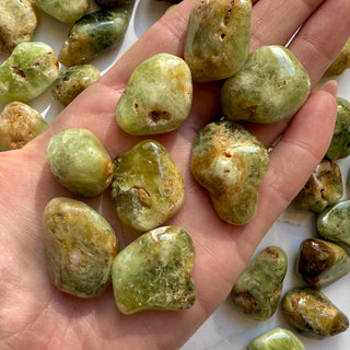 GREEN GARNET TUMBLE STONE Tumble Stone The Crystal Avenues 