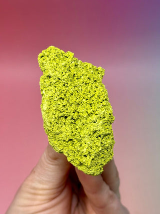 GREEN NONTRONITE (12) Raw Crystal The Crystal Avenues 