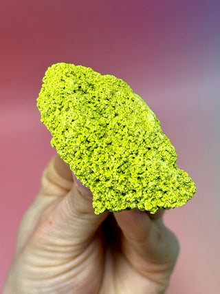 GREEN NONTRONITE (12) Raw Crystal The Crystal Avenues 