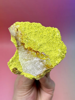 GREEN NONTRONITE ON QUARTZ (2) Raw Crystal The Crystal Avenues 