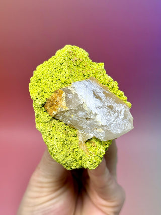 GREEN NONTRONITE ON QUARTZ (3) Raw Crystal The Crystal Avenues 