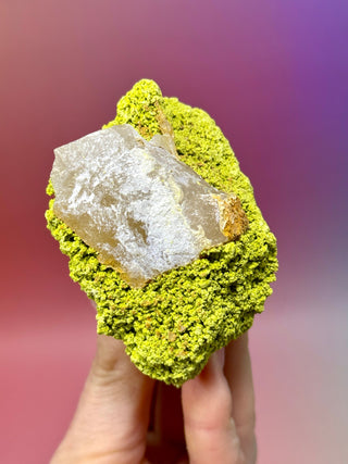 GREEN NONTRONITE ON QUARTZ (3) Raw Crystal The Crystal Avenues 