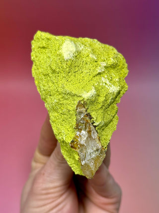 GREEN NONTRONITE ON QUARTZ (5) Raw Crystal The Crystal Avenues 