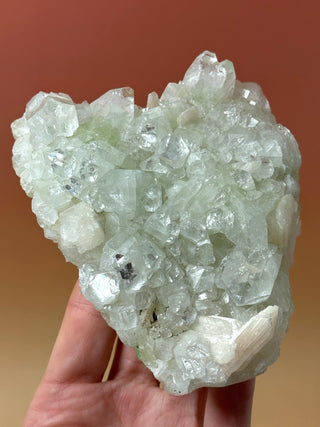 GREEN STARSEER APOPHYLLITE CLUSTER (1) Cluster The Crystal Avenues 