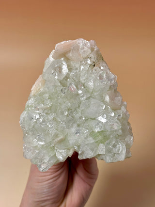 GREEN STARSEER APOPHYLLITE CLUSTER (1) Cluster The Crystal Avenues 