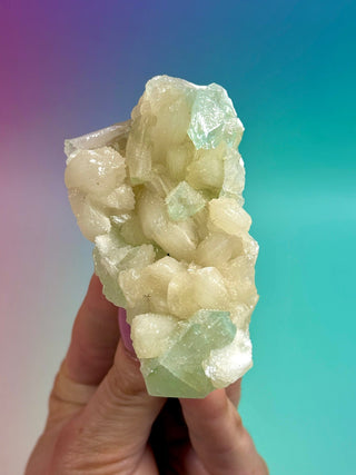 GREEN STARSEER APOPHYLLITE CLUSTER (1) Cluster The Crystal Avenues 