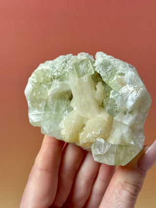 GREEN STARSEER APOPHYLLITE CLUSTER (2) Cluster The Crystal Avenues 