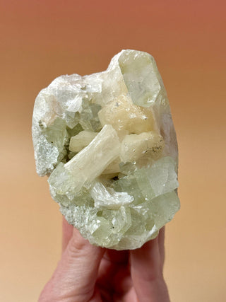 GREEN STARSEER APOPHYLLITE CLUSTER (2) Cluster The Crystal Avenues 