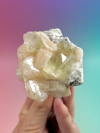 GREEN STARSEER APOPHYLLITE CLUSTER (2) Cluster The Crystal Avenues 