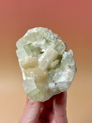 GREEN STARSEER APOPHYLLITE CLUSTER (2) Cluster The Crystal Avenues 