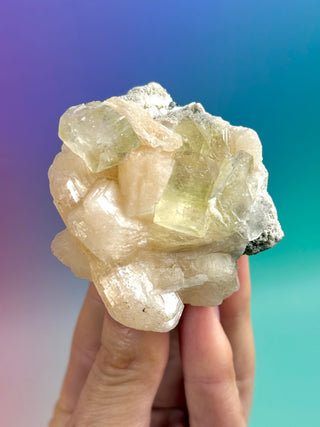 GREEN STARSEER APOPHYLLITE CLUSTER (2) Cluster The Crystal Avenues 