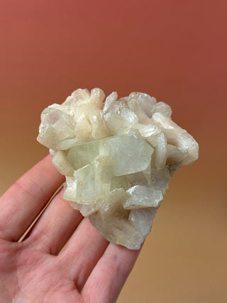 GREEN STARSEER APOPHYLLITE CLUSTER (3) Cluster The Crystal Avenues 