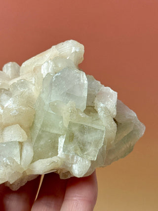 GREEN STARSEER APOPHYLLITE CLUSTER (3) Cluster The Crystal Avenues 