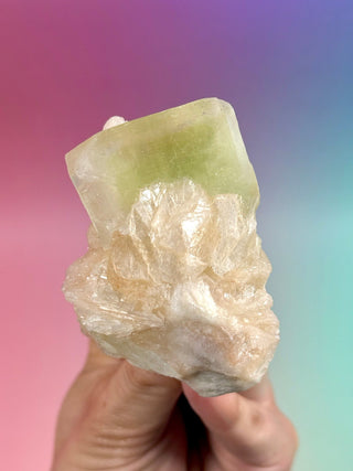 GREEN STARSEER APOPHYLLITE CLUSTER (3) Cluster The Crystal Avenues 